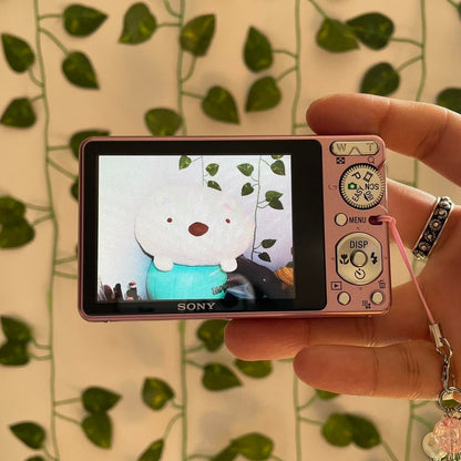 Sony Pink and White Cameras-and-accessories