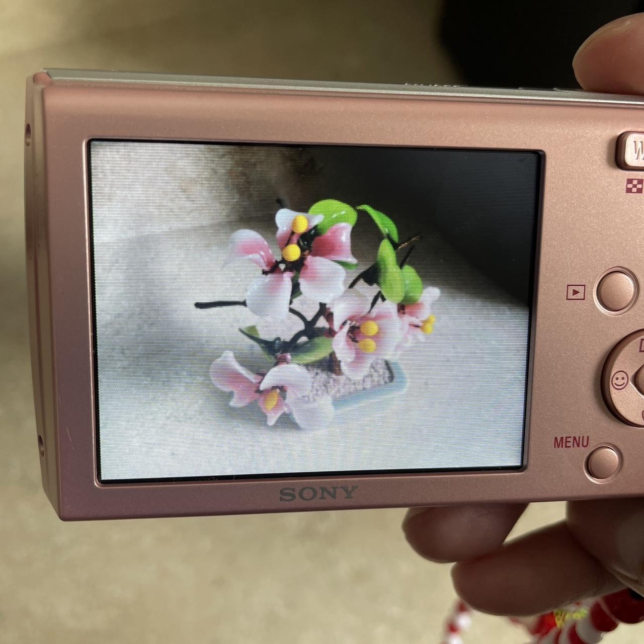 Sony Pink and Red Cameras-and-accessories